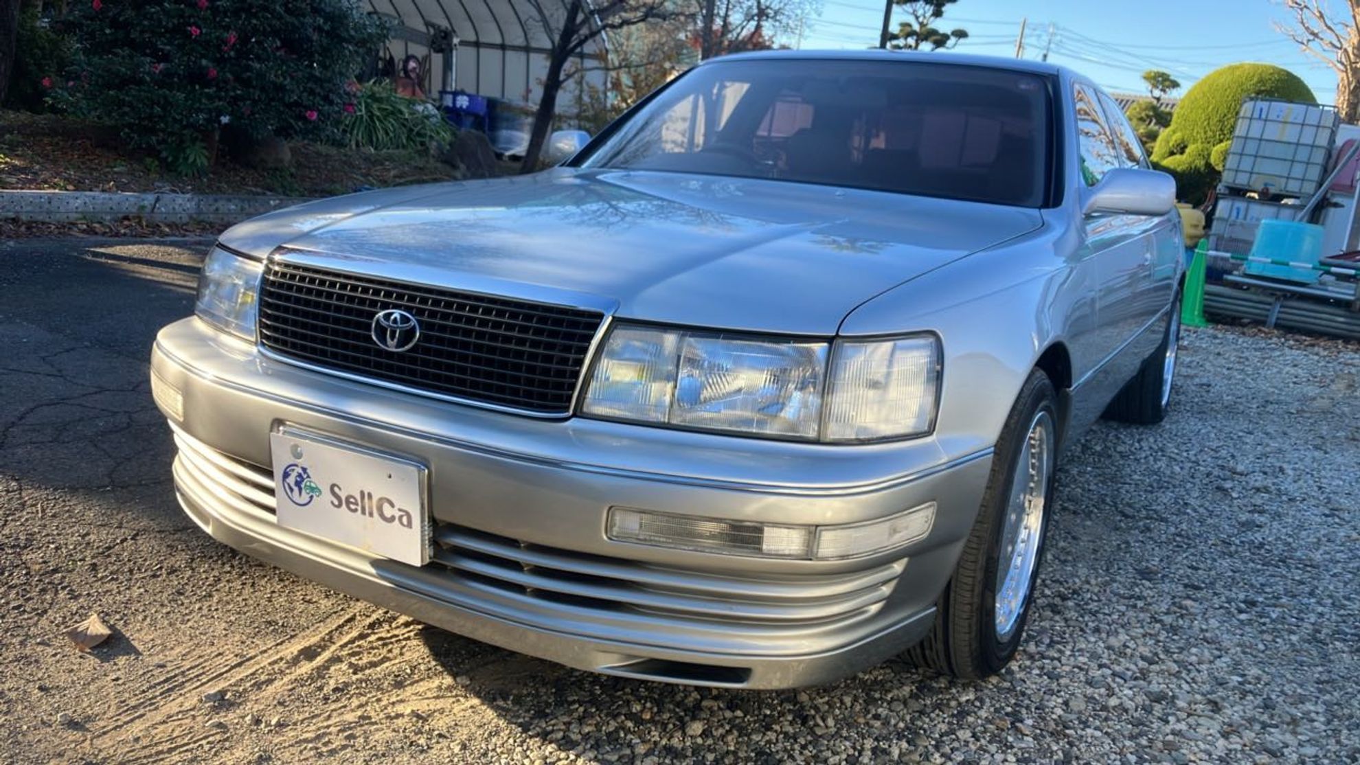 セルシオ