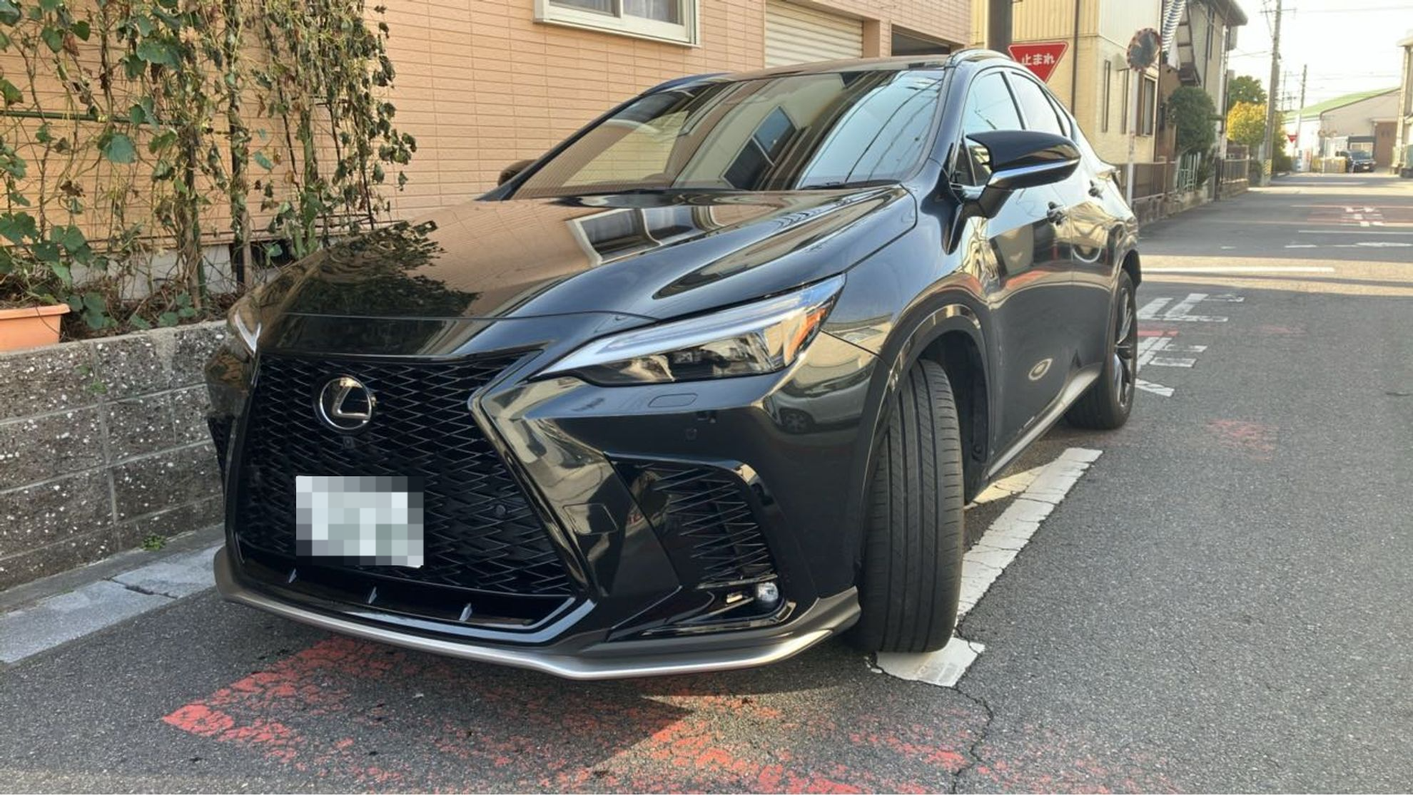 NX350 F Sport