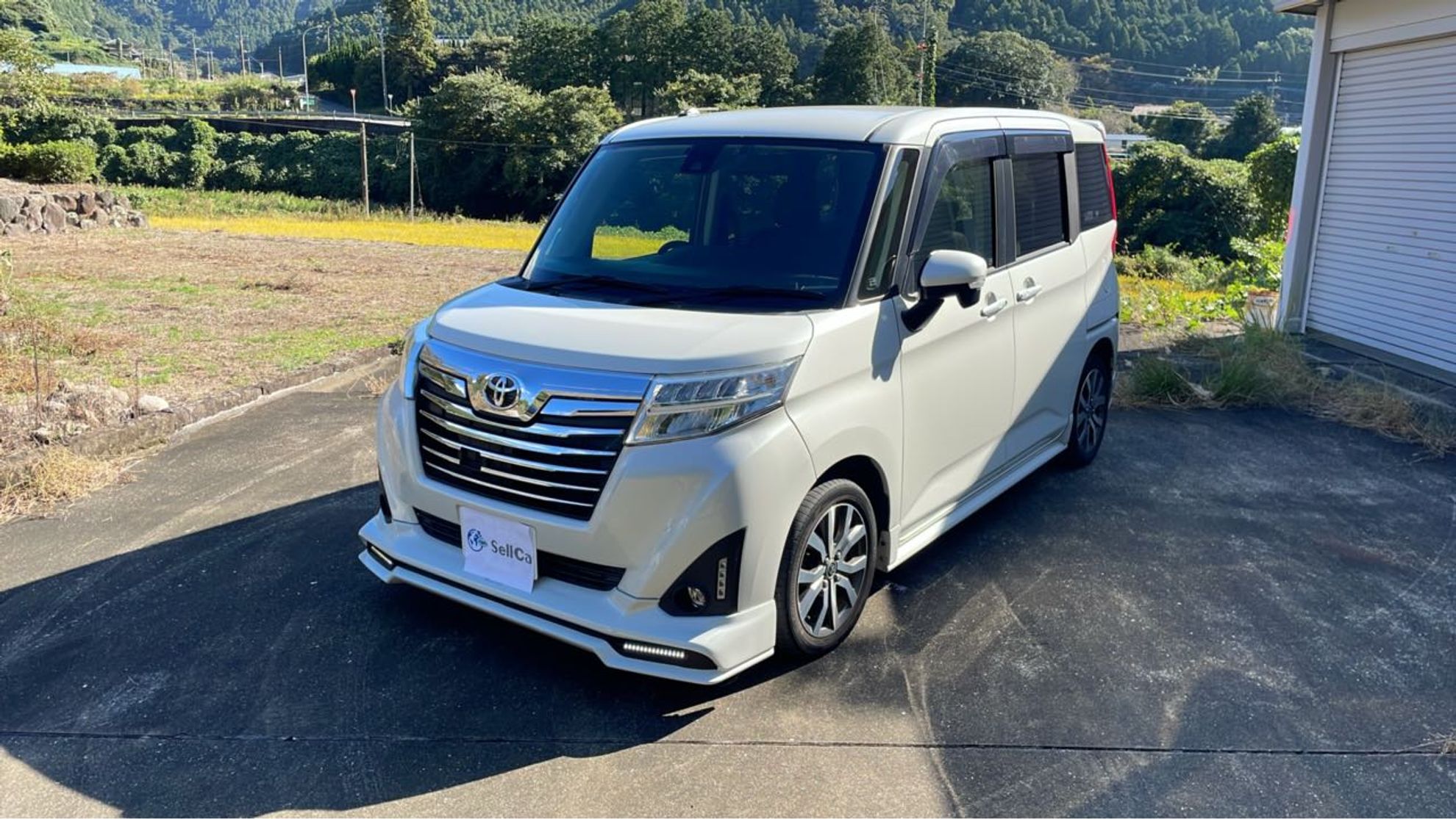 ルーミー