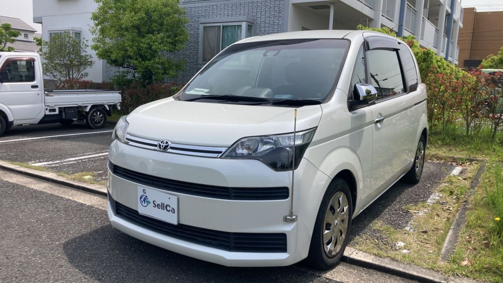 スペイド