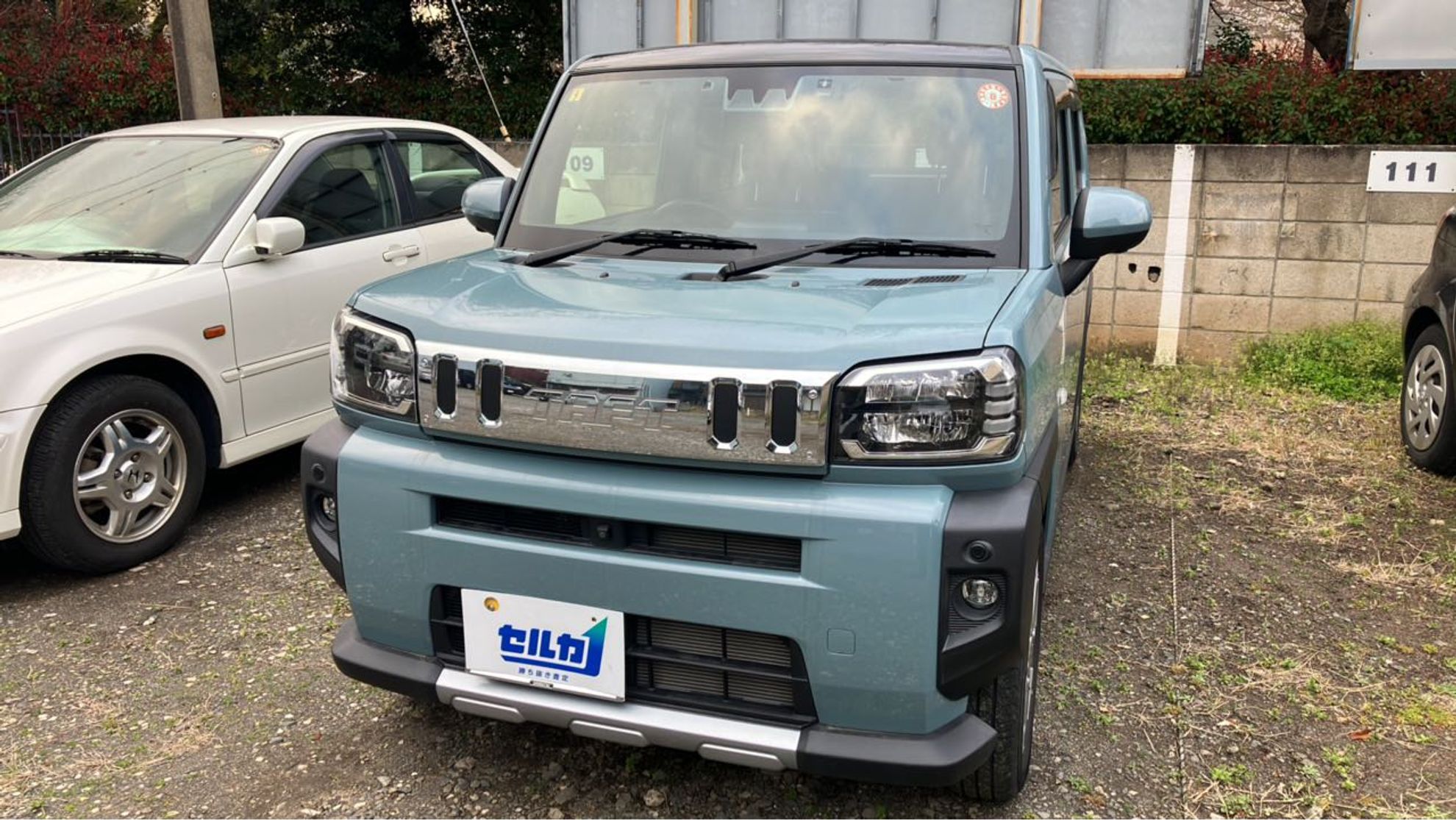 タフト