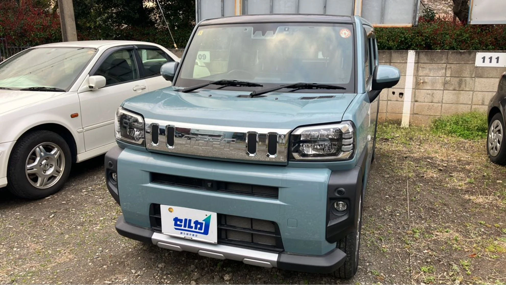 タフト