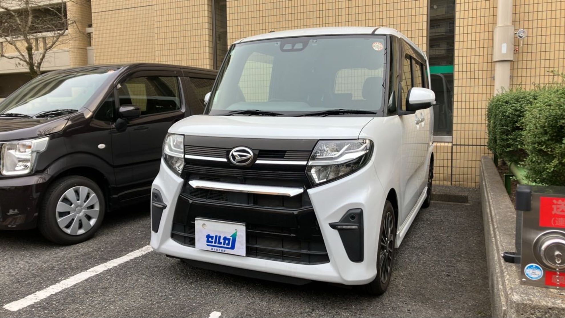 タント