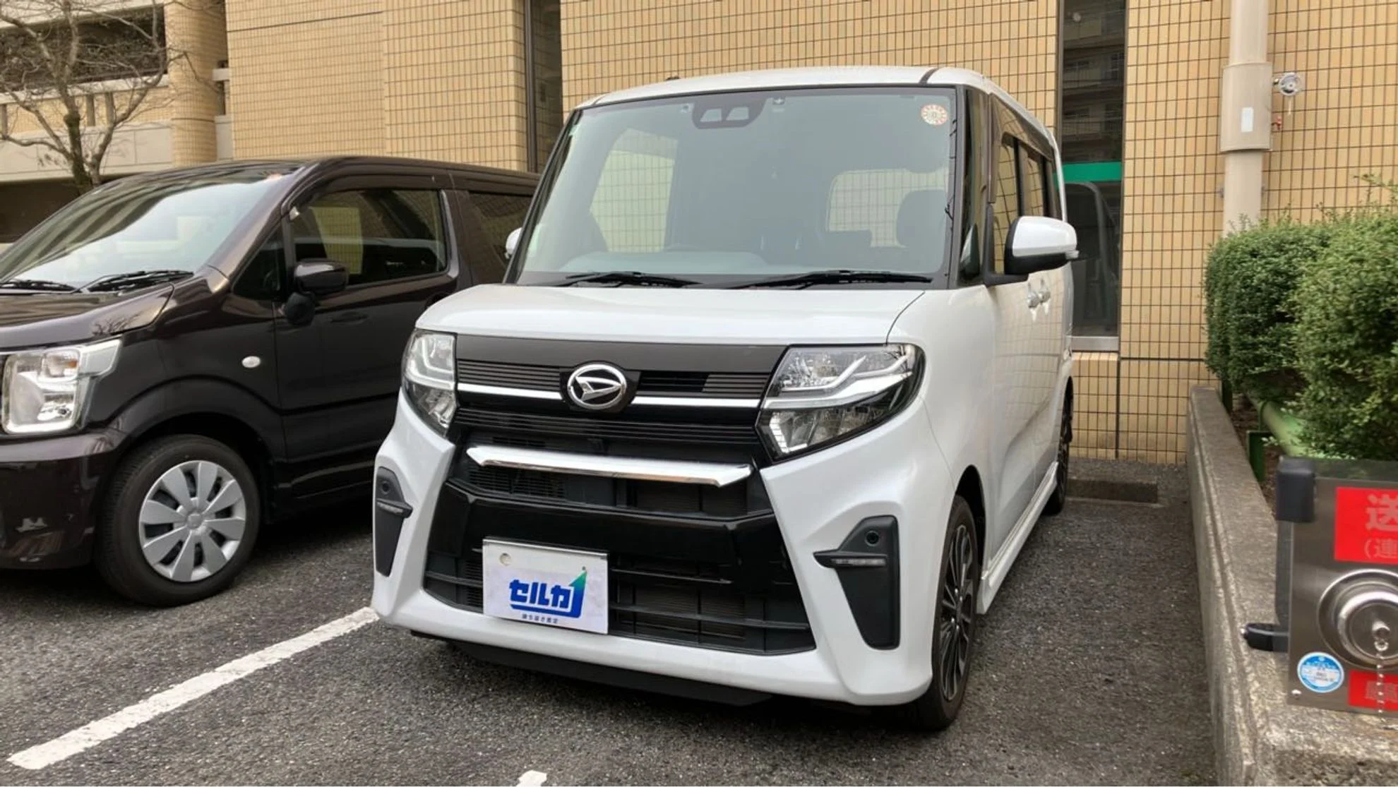 タント